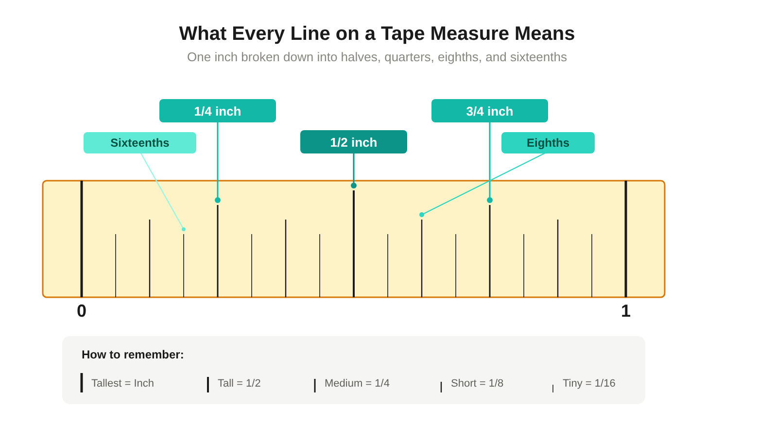 Diagram showing one inch on a tape measure with labeled markings for halves, quarters, eighths, and sixteenths
